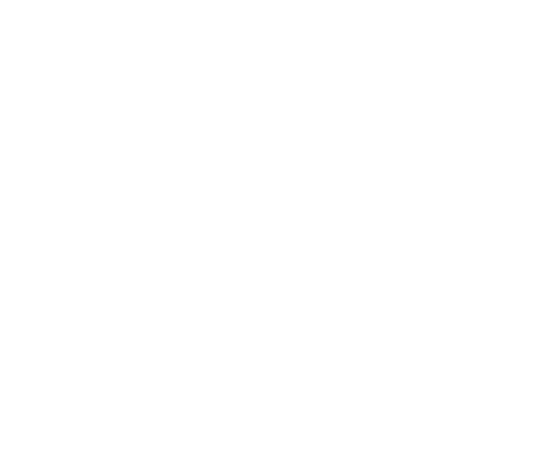 Allium Organics
