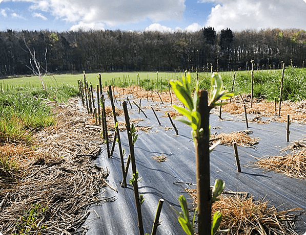 knapton_quarry-0134 3 (1)
